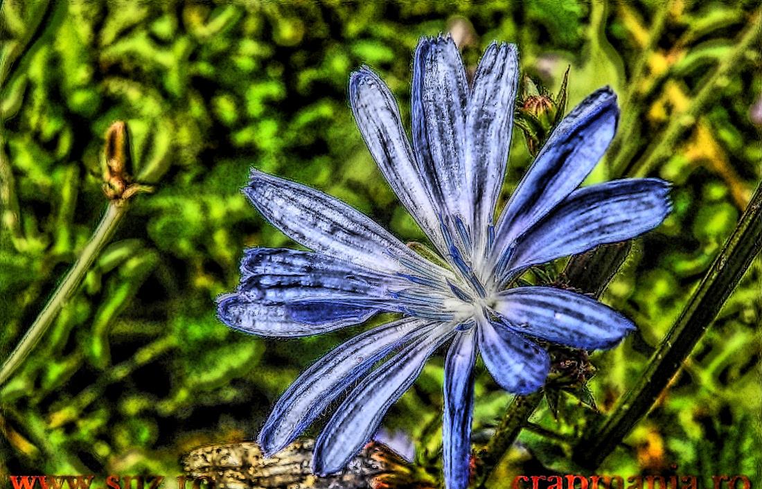 Boiliesmania 2013  (2) - 1031597hdrmode2.jpg